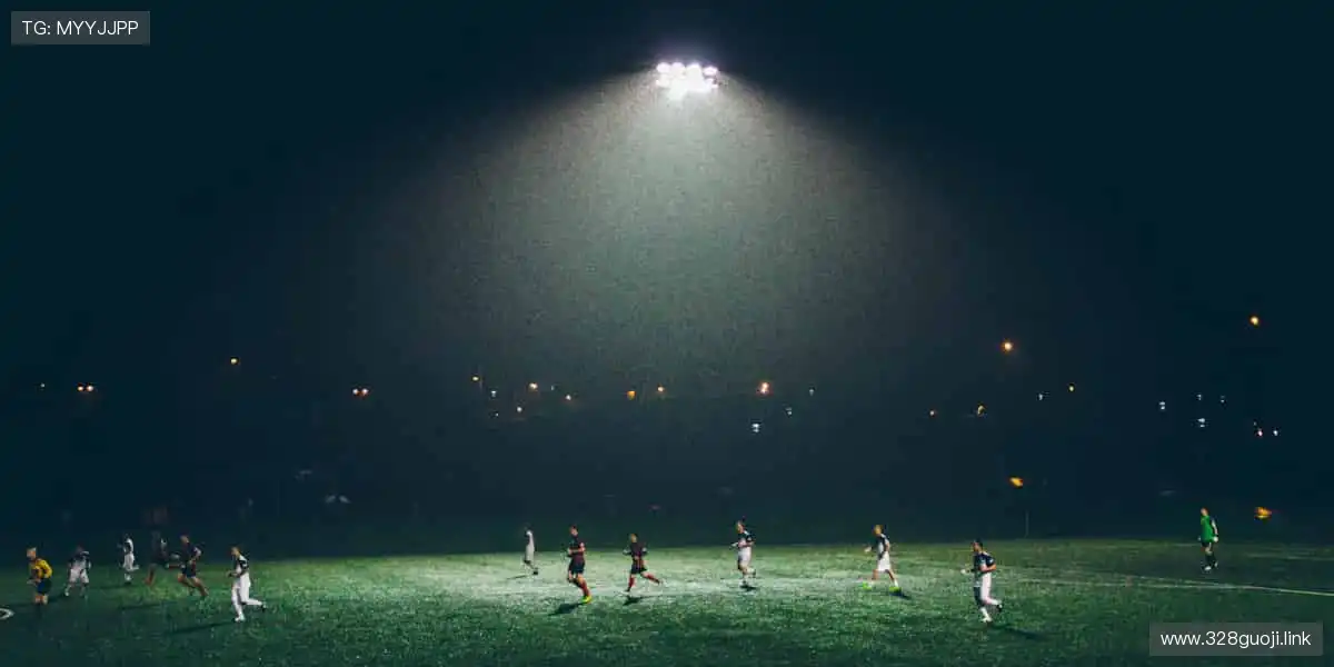 🎉 冠军之路,与你同在,